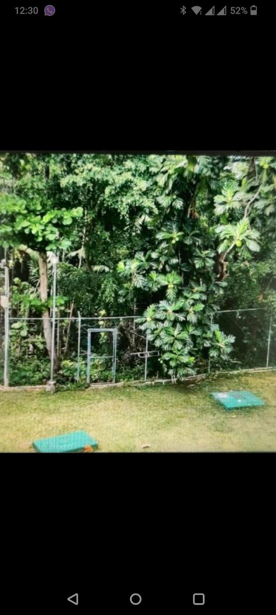 Comfort Zone At The Ridge E17 Ocho Rios Exterior foto